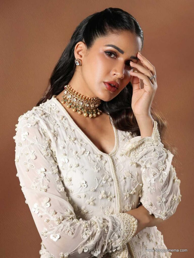 lavanya stills 141125 01