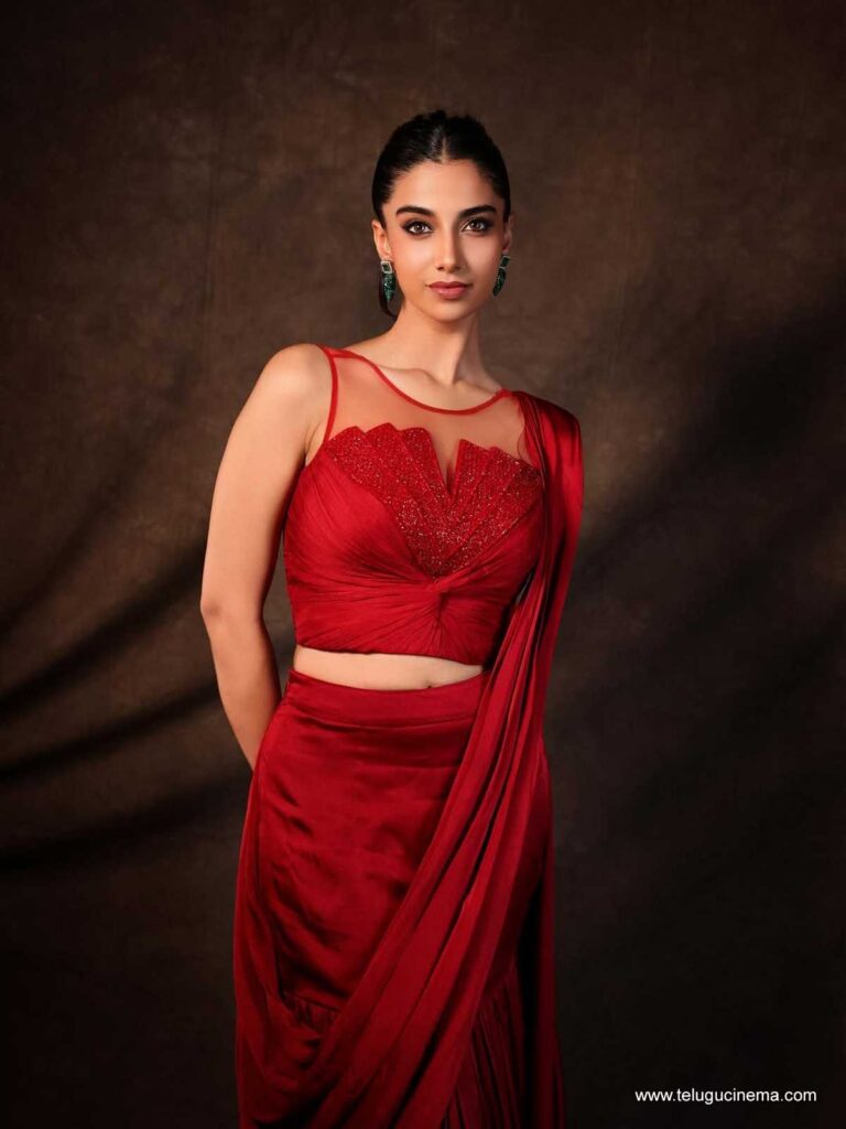 meenakshi stills 171125 01