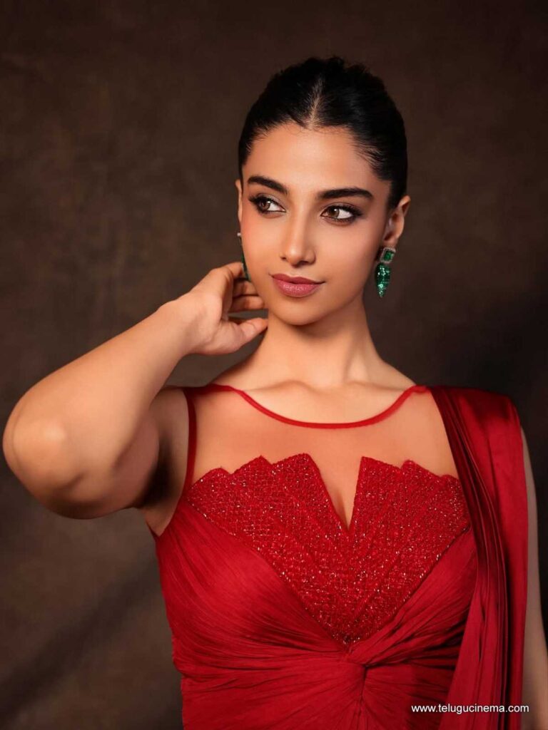 meenakshi stills 171125 02
