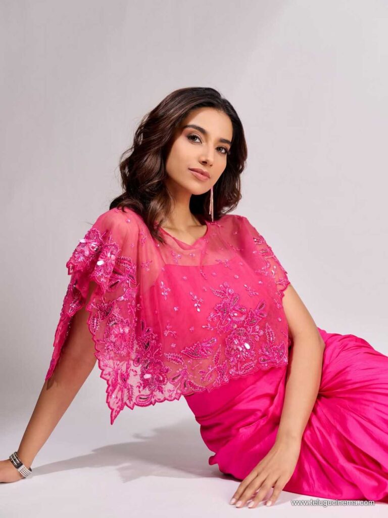 meenakshi stills 221125 01