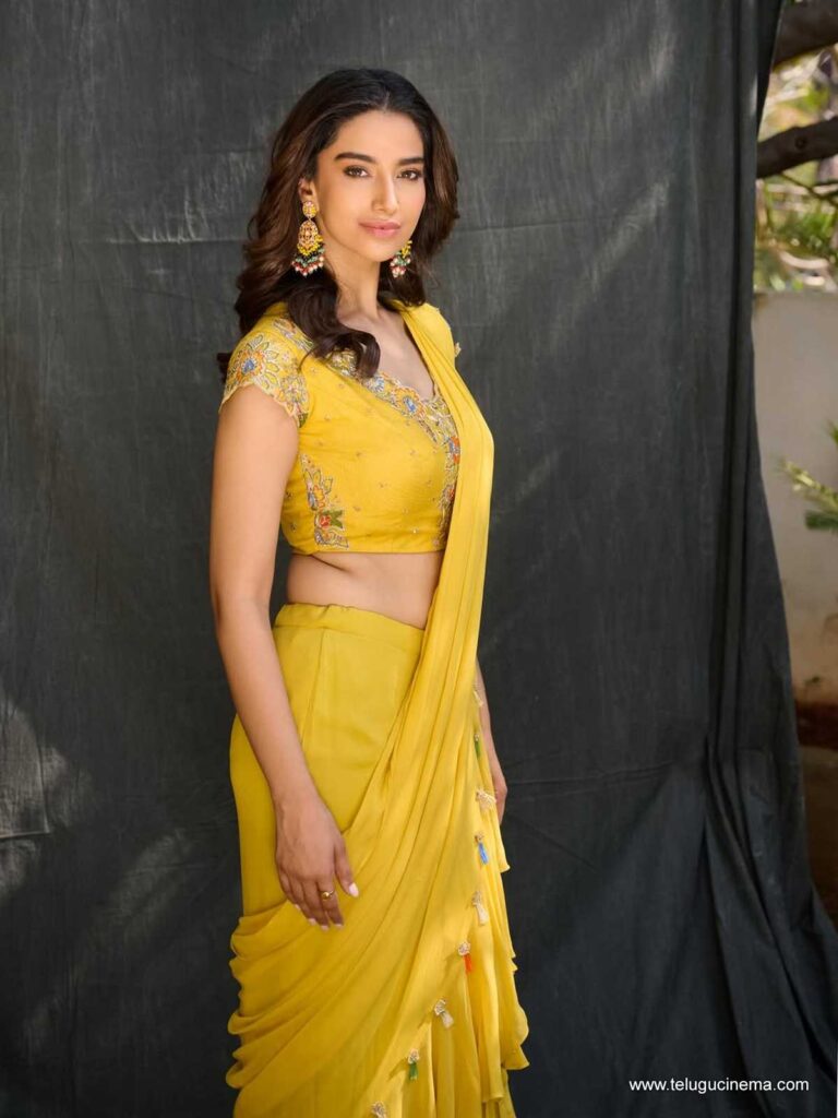 meenakshi stills 281125 05