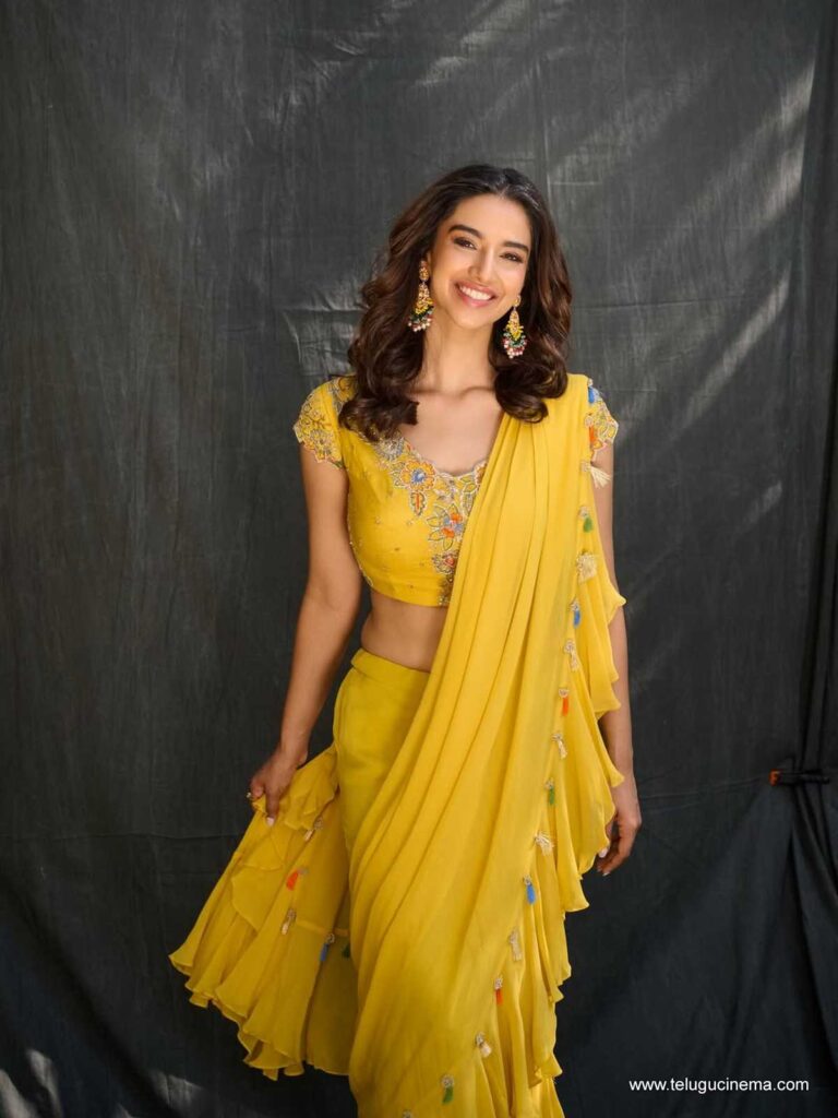 meenakshi stills 281125 09
