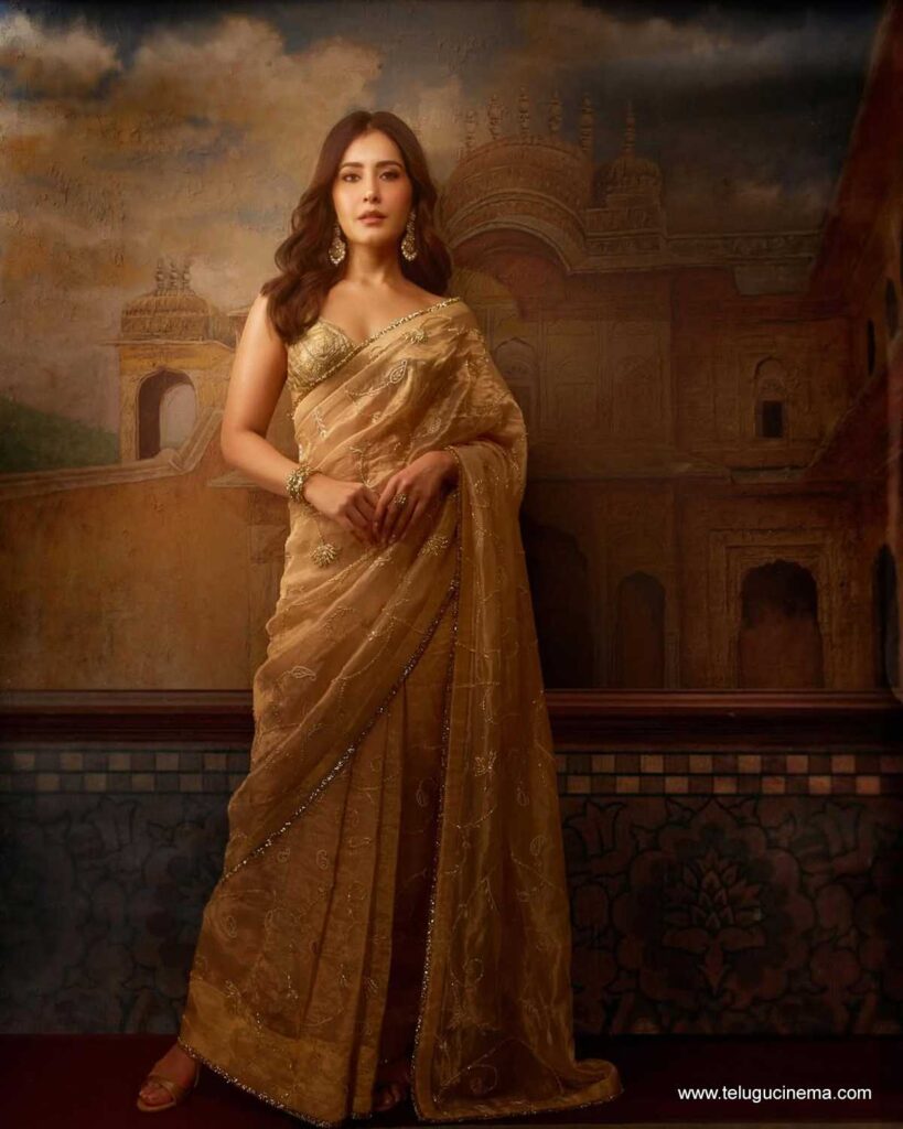 raashikhanna stills 221125 01