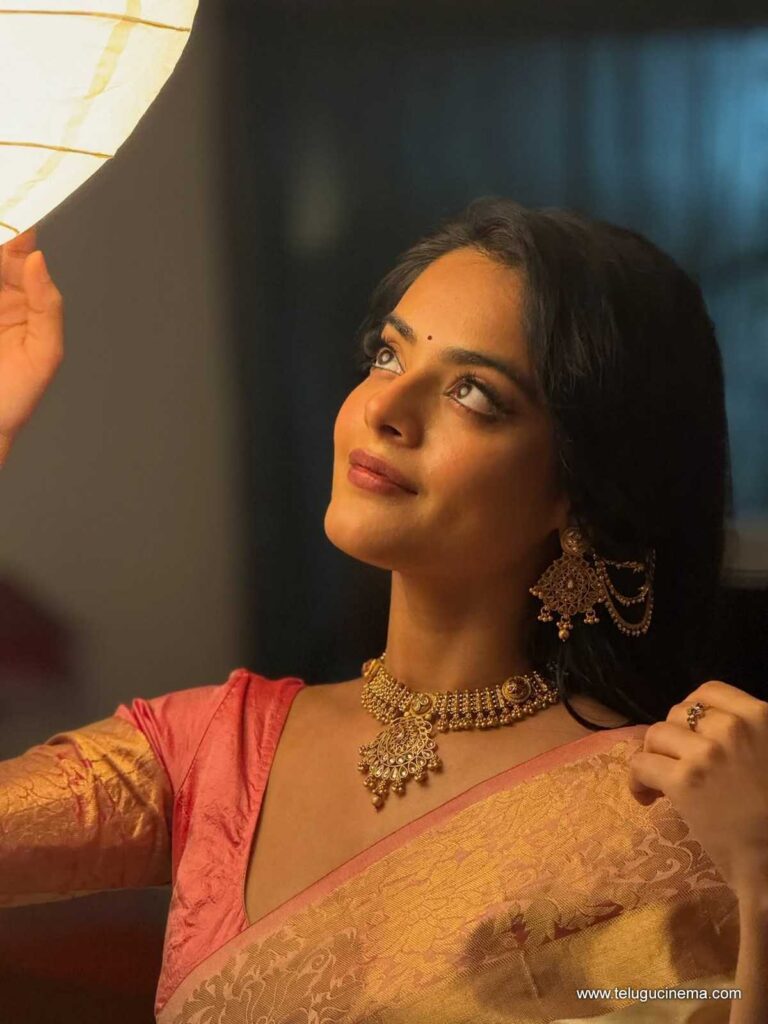 riddhi stills 271125 08