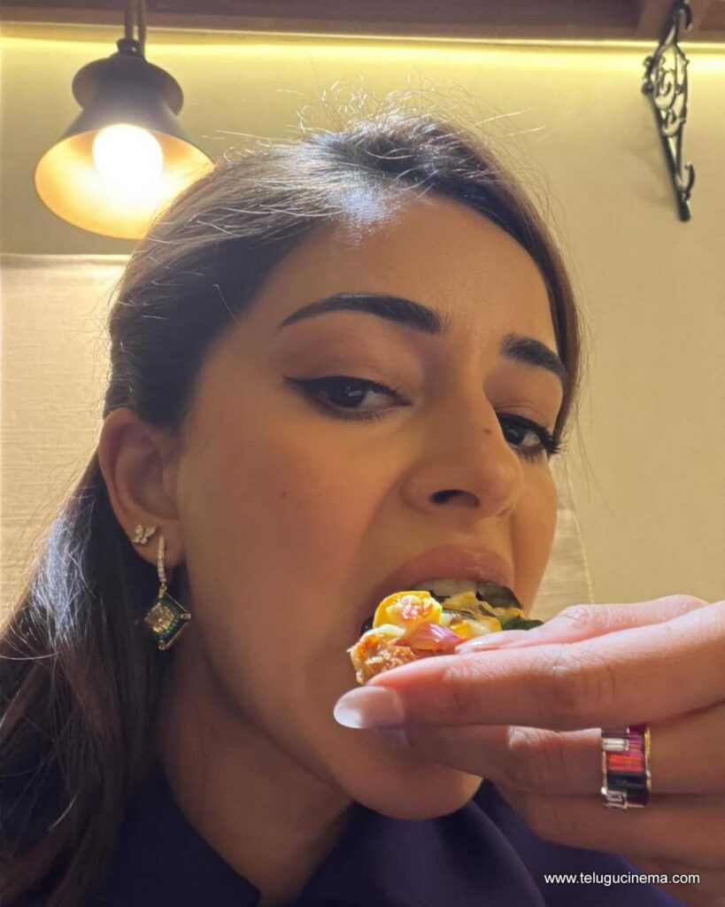 ananya stills 081225 09