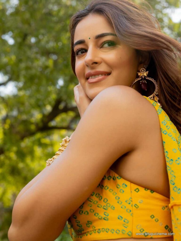 ananya stills 151225 03