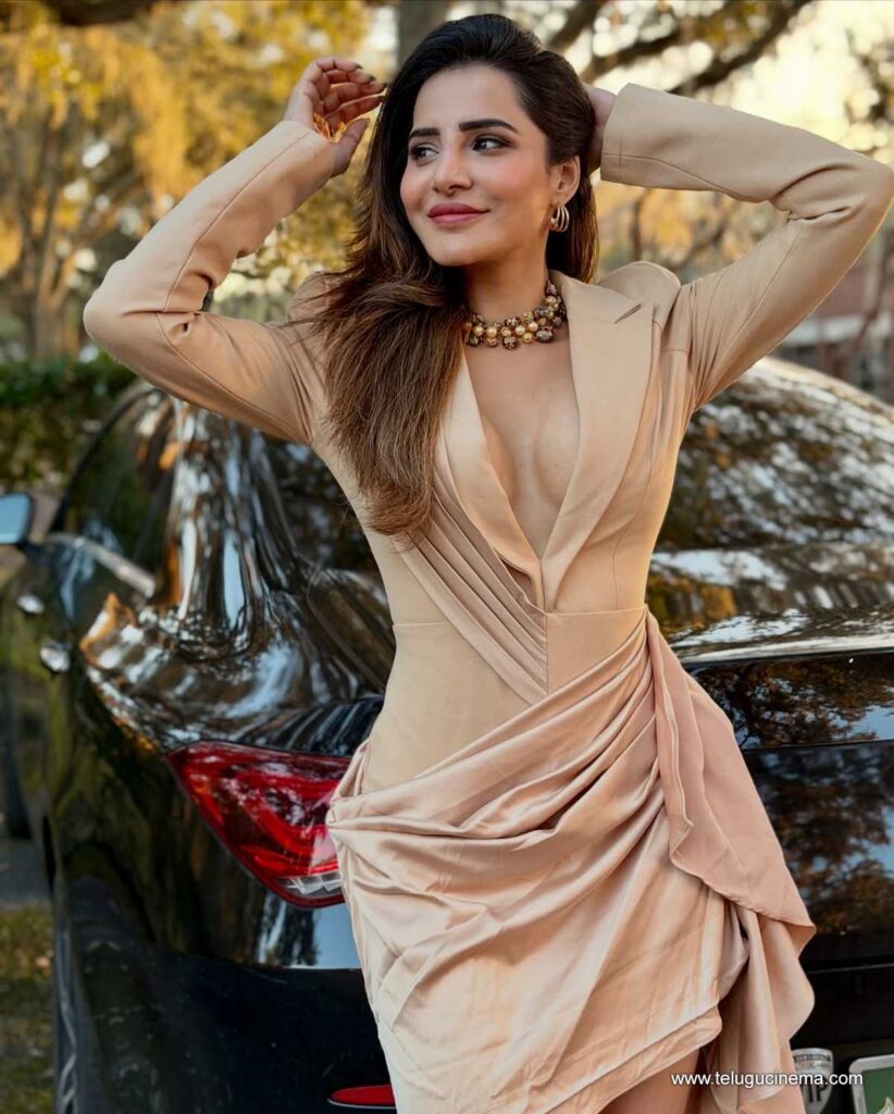 ashureddy stills 291225 02