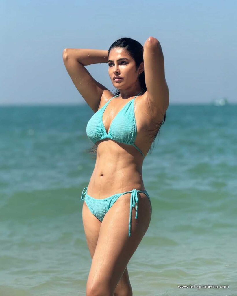 divi stills 121225 03