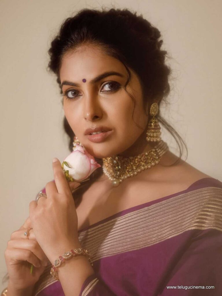 divi stills 311225 04
