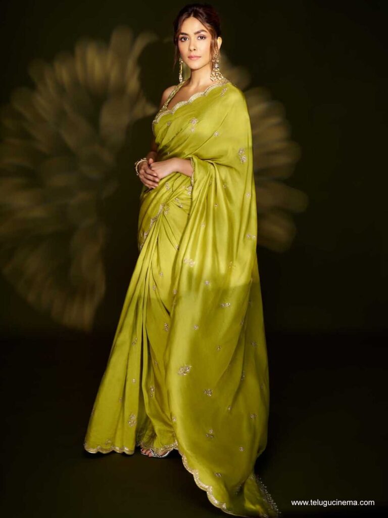 mrunal stills 021225 01