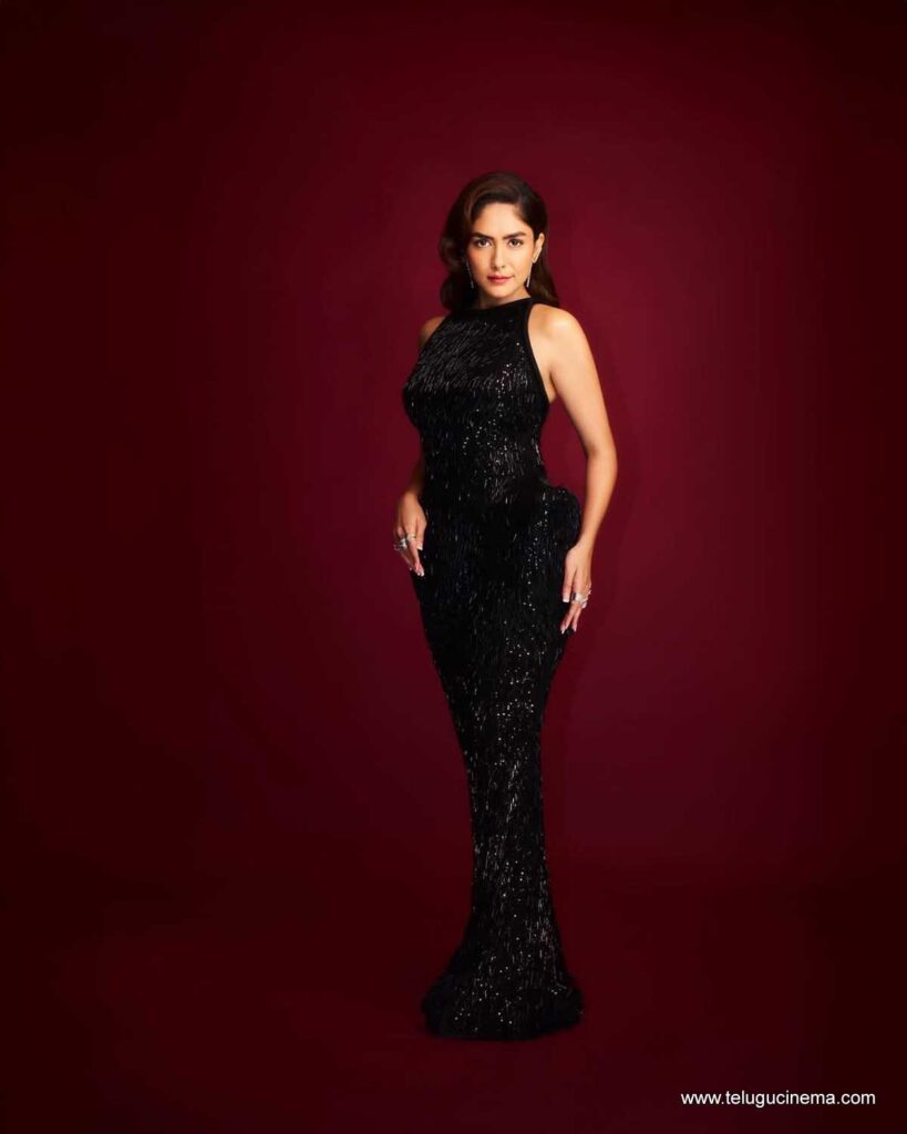 mrunal stills 091225 04