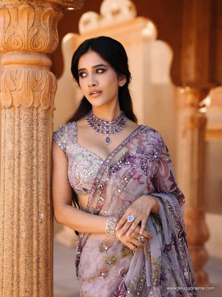 nabhanatesh stills 011225 01