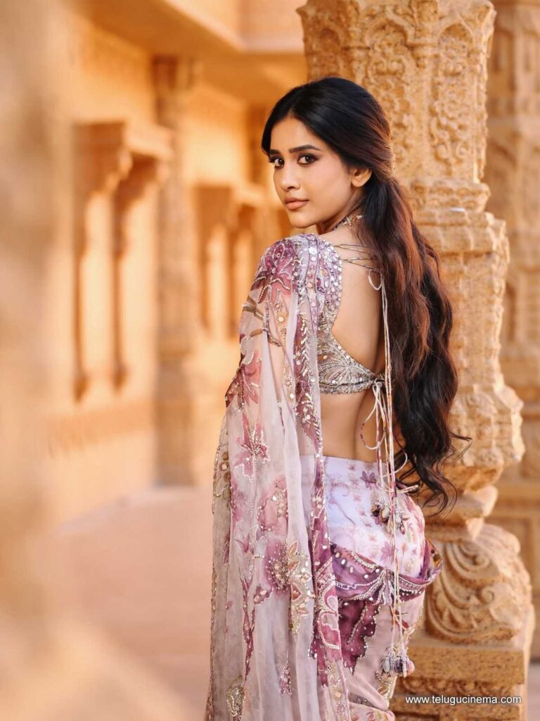 nabhanatesh stills 011225 02