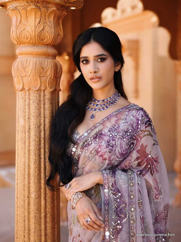 nabhanatesh stills 011225 03