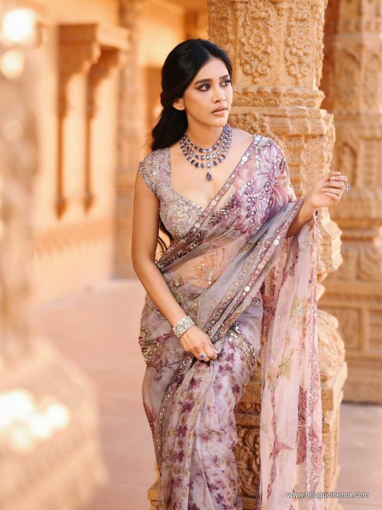 nabhanatesh stills 011225 05