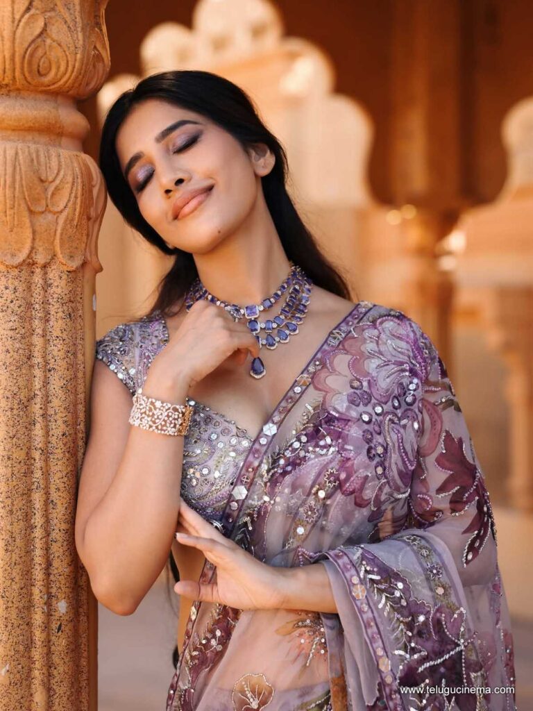 nabhanatesh stills 011225 06