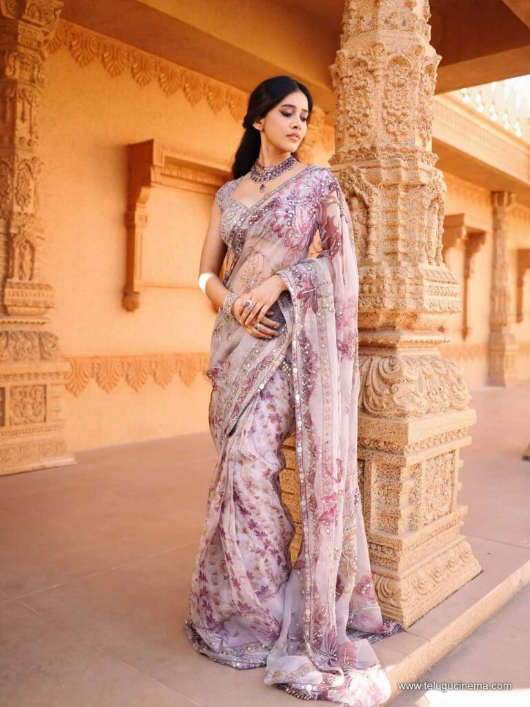 nabhanatesh stills 011225 07
