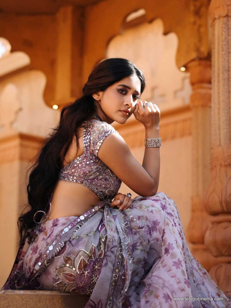 nabhanatesh stills 011225 08