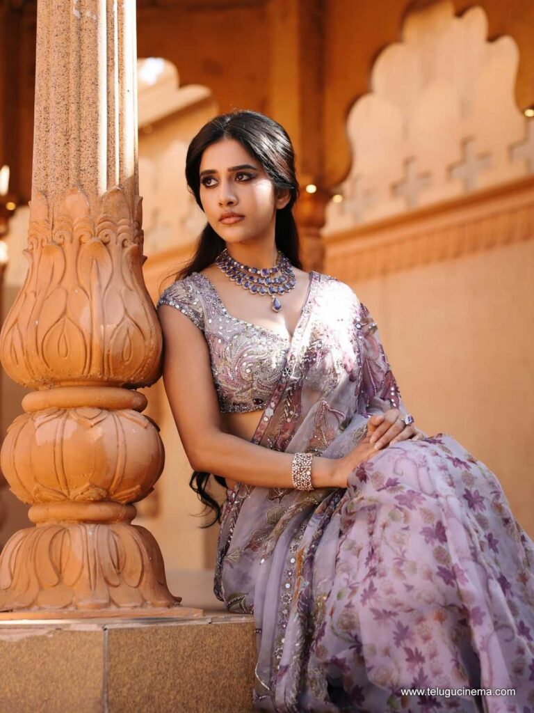 nabhanatesh stills 011225 10