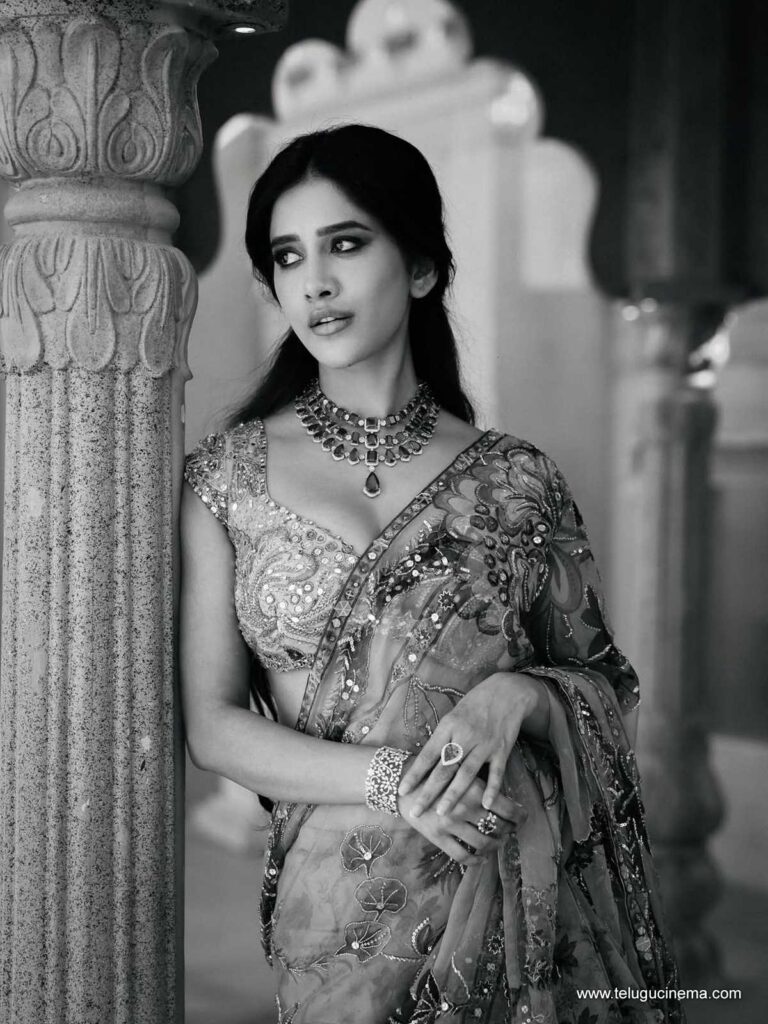 nabhanatesh stills 011225 13
