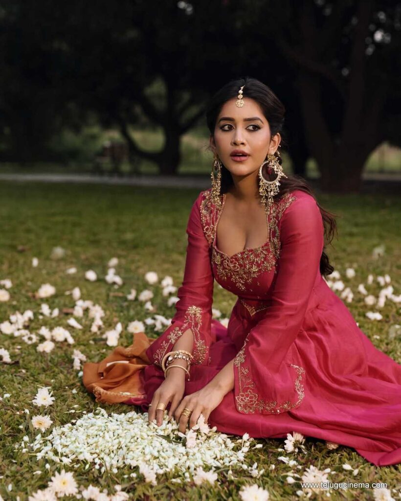 nabhanatesh stills 221225 07