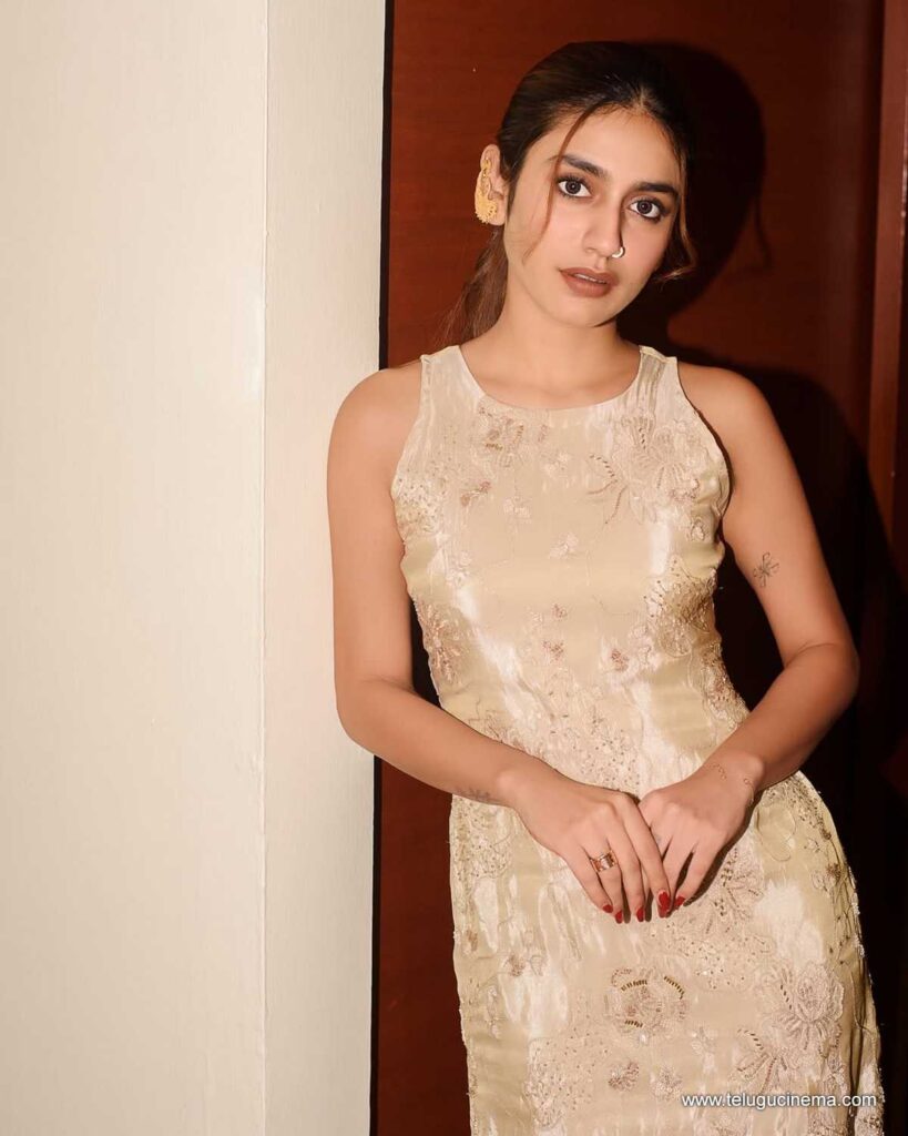 priyavarriear stills 151225 01