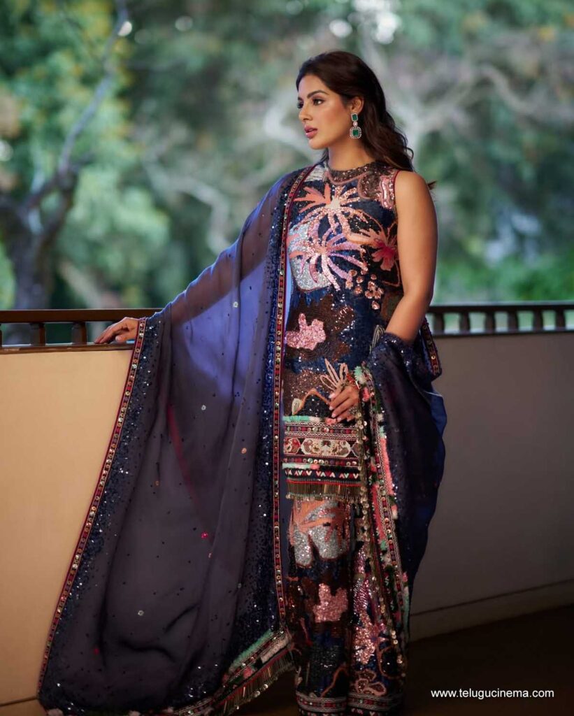 samyuktha stills 221225 05