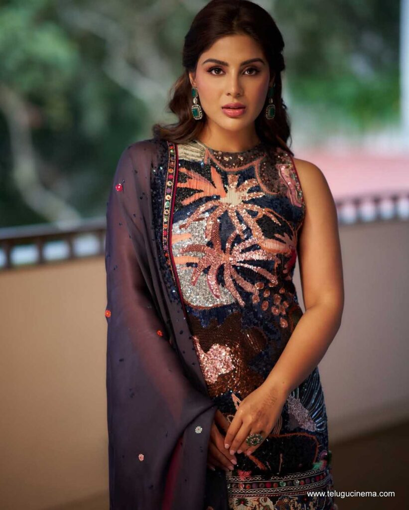 samyuktha stills 221225 08
