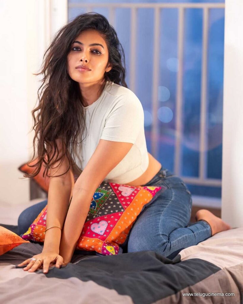 divi stills 010126 05