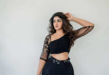 Is Dimple Hayathi using controversy to gain subscribers?