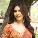 Nabha Natesh about Nagabandam