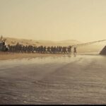 The Odyssey