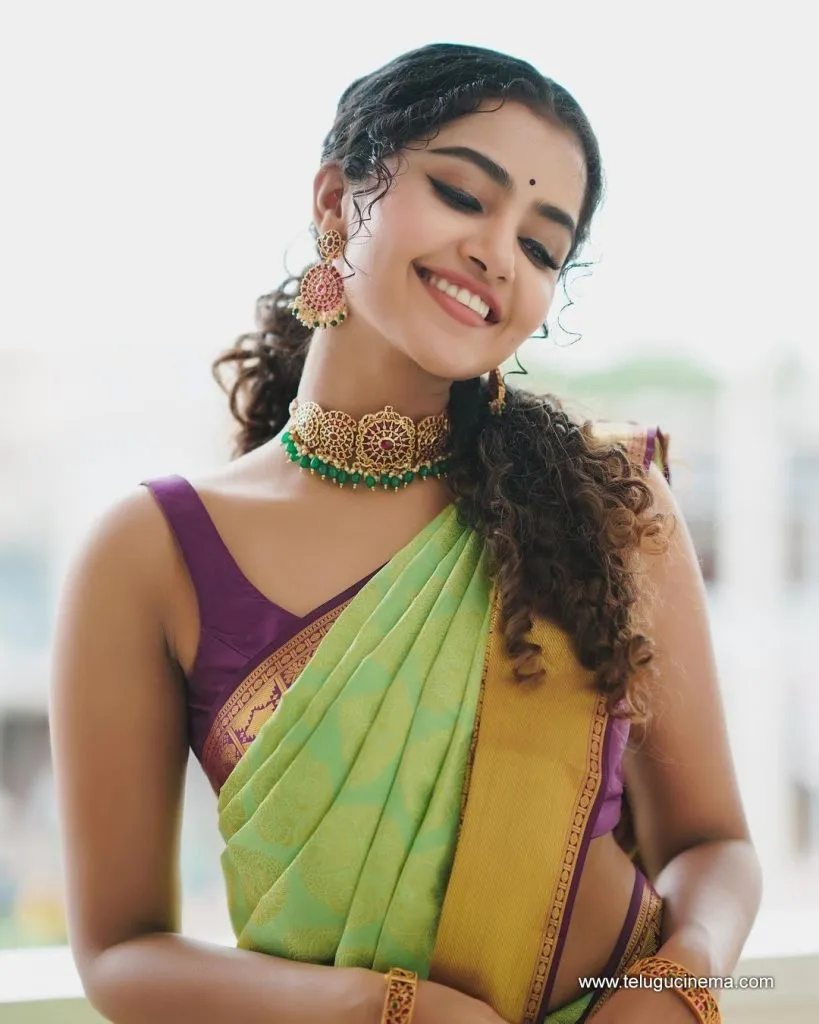 Anupama Stills 14082100007 1