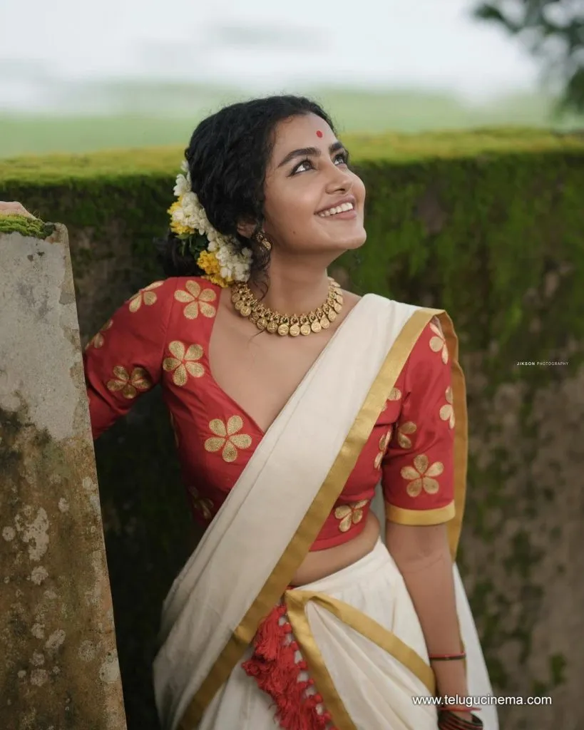 Anupama Stills 21082100007