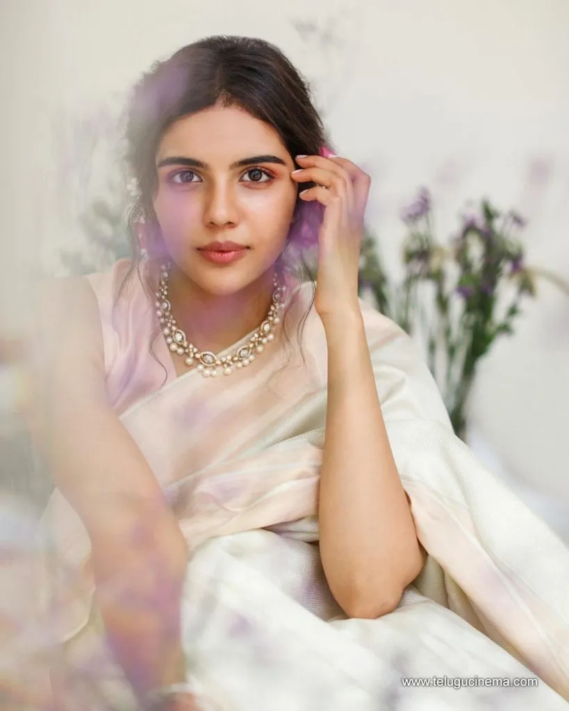 Kalyani Stills 19082100002