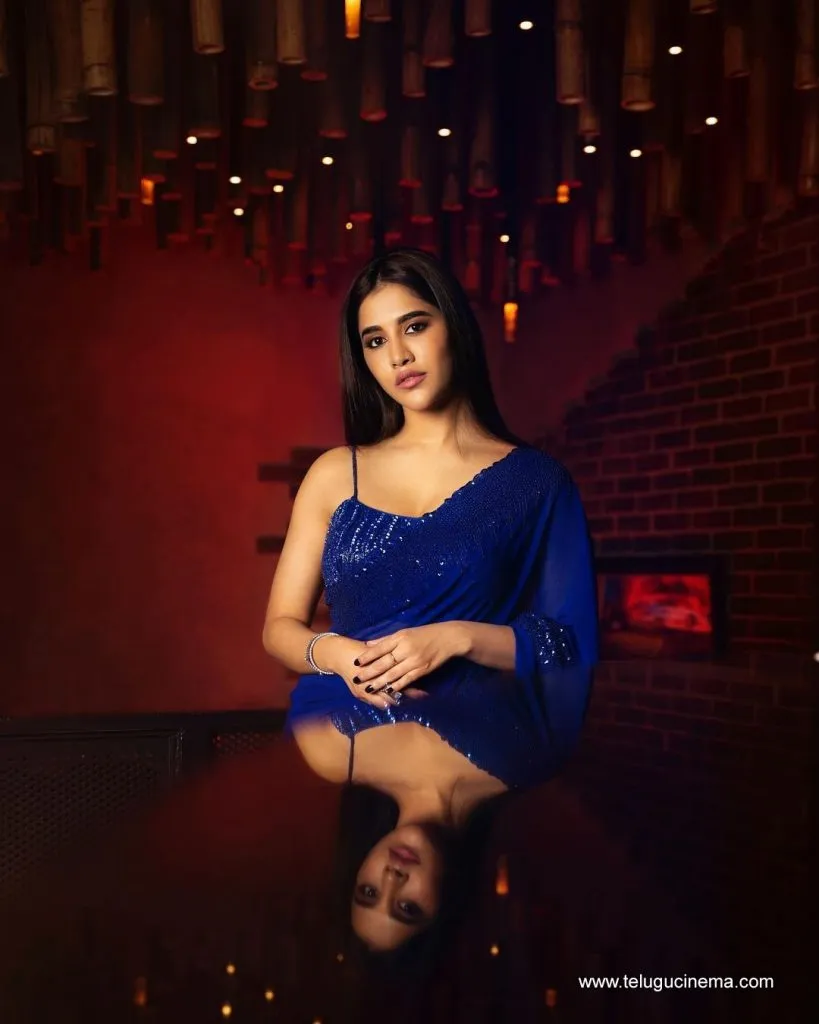 Nabhanatesh Stills 12082100002