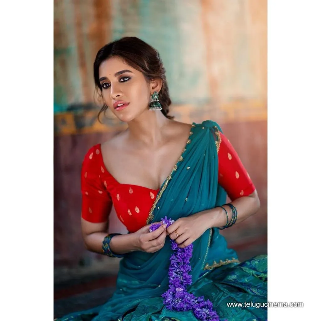 Nabhanatesh Stills 23082100004