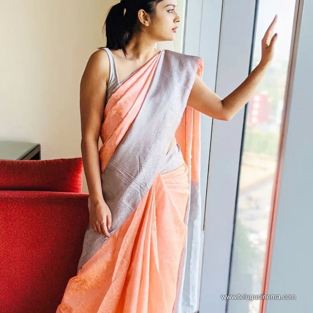Nandithaswetha Stills 11082100002