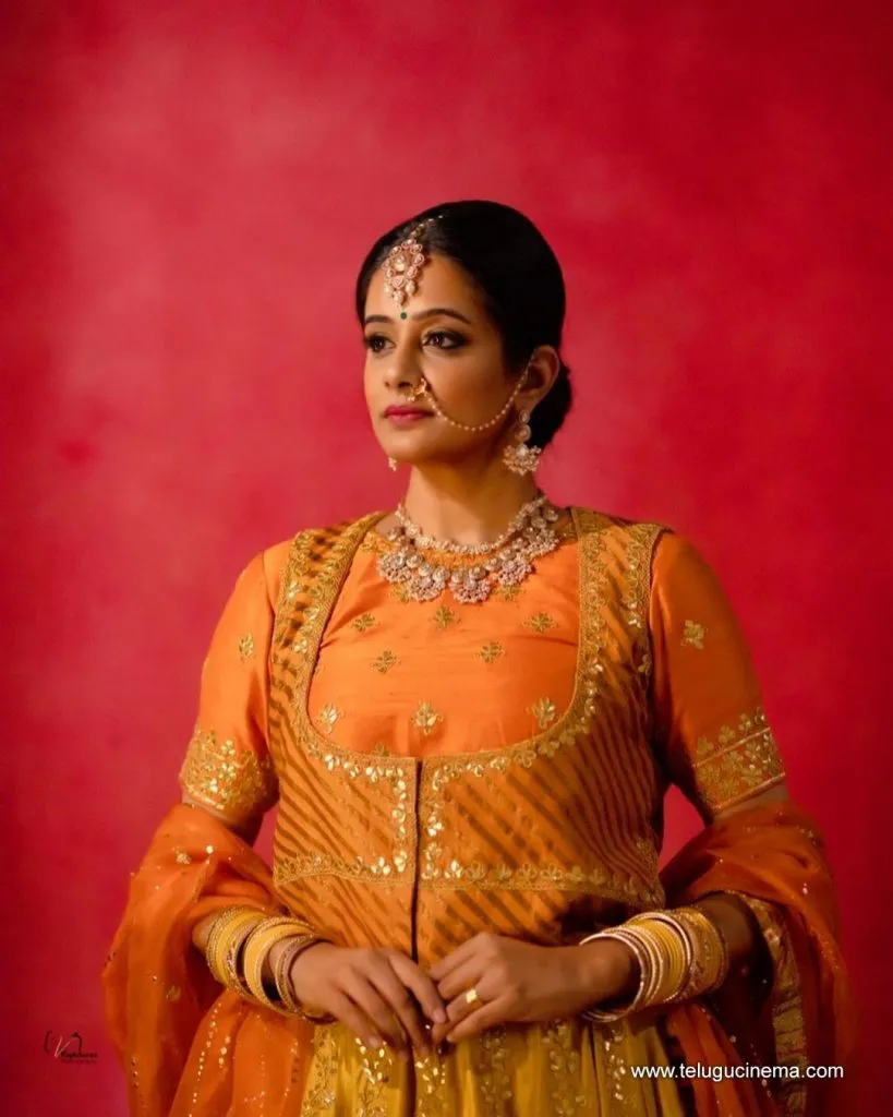 Priyamani Stills 11082100005