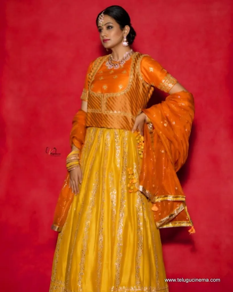 Priyamani Stills 11082100006