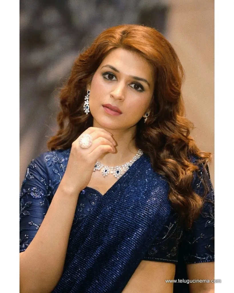 Shraddhadas Stills 17082100003