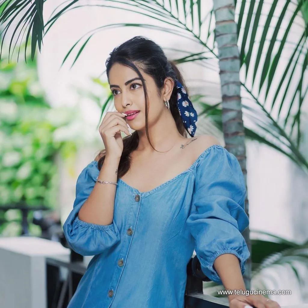 Avikagor Still 30092100003