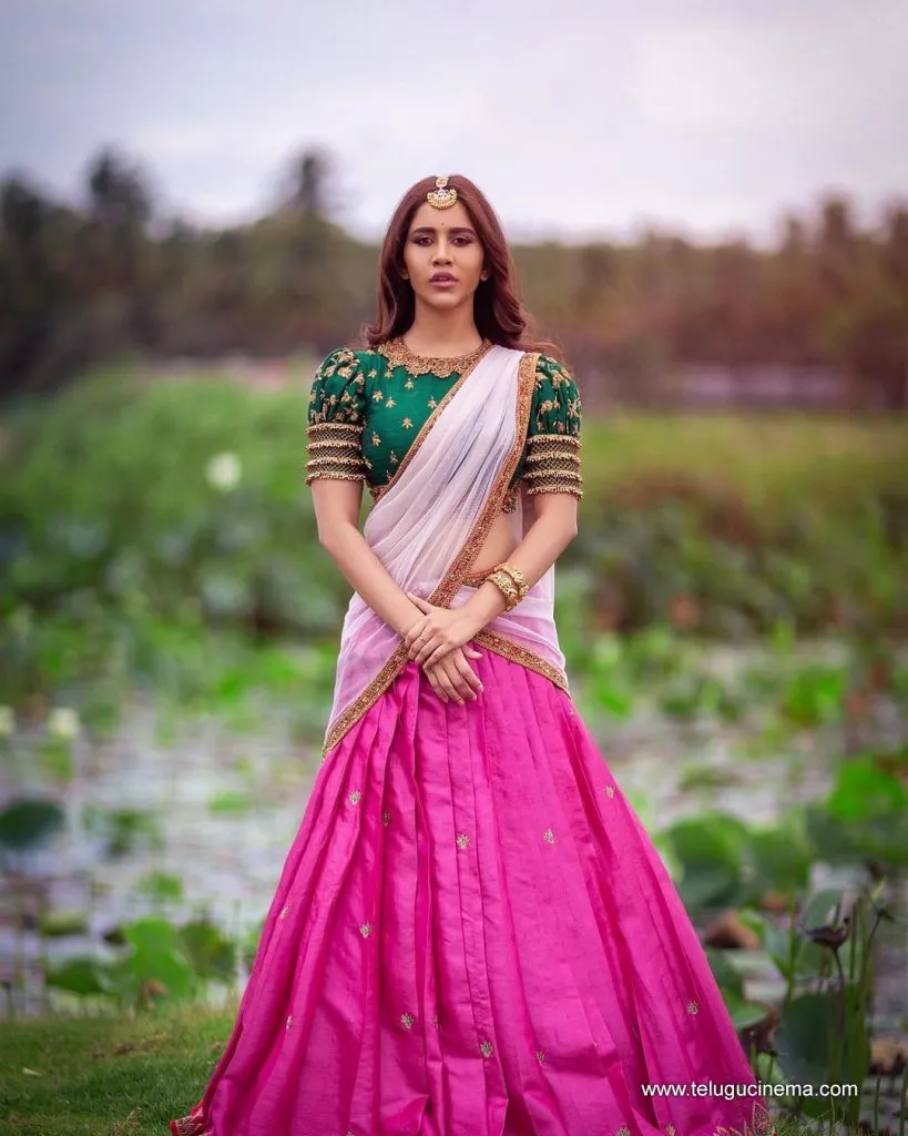 Nabhanatesh Stills 09092100001