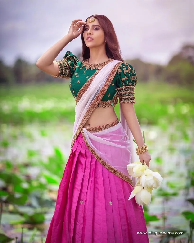 Nabha Natesh