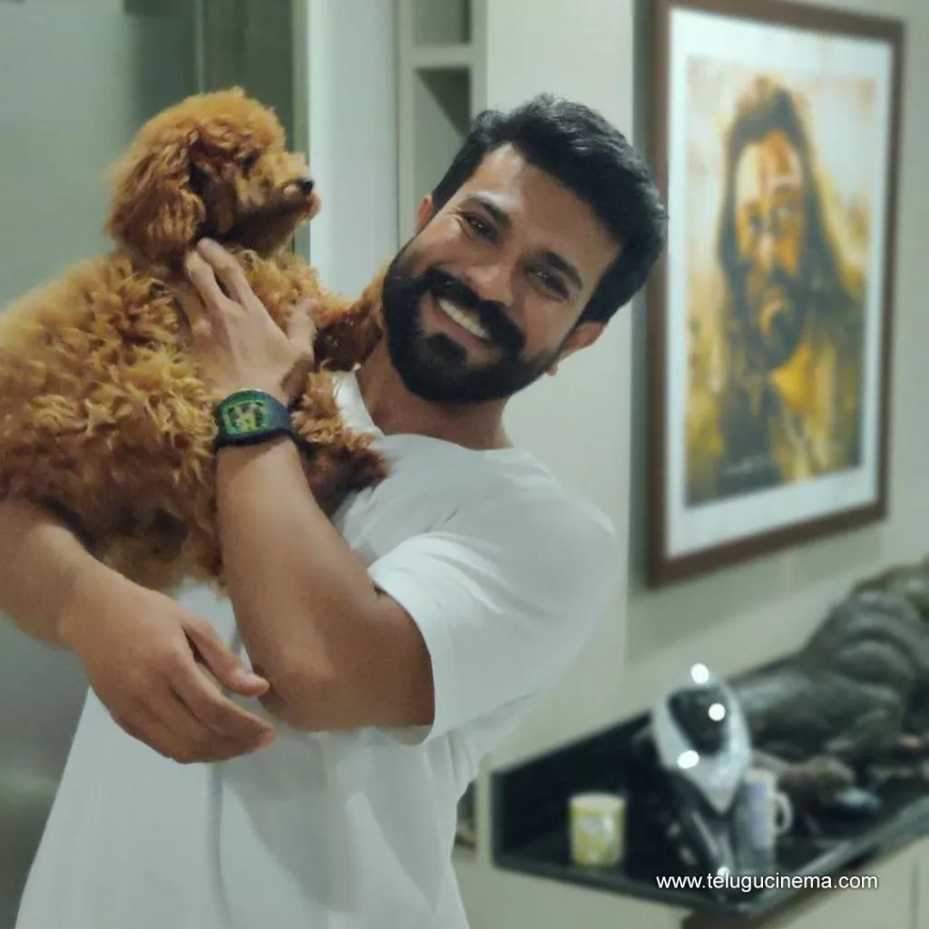 Ramcharan Stilla 25092100003