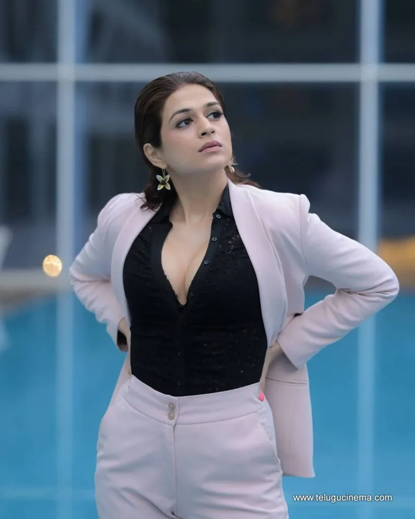 Shraddhadas Stilla 25092100001