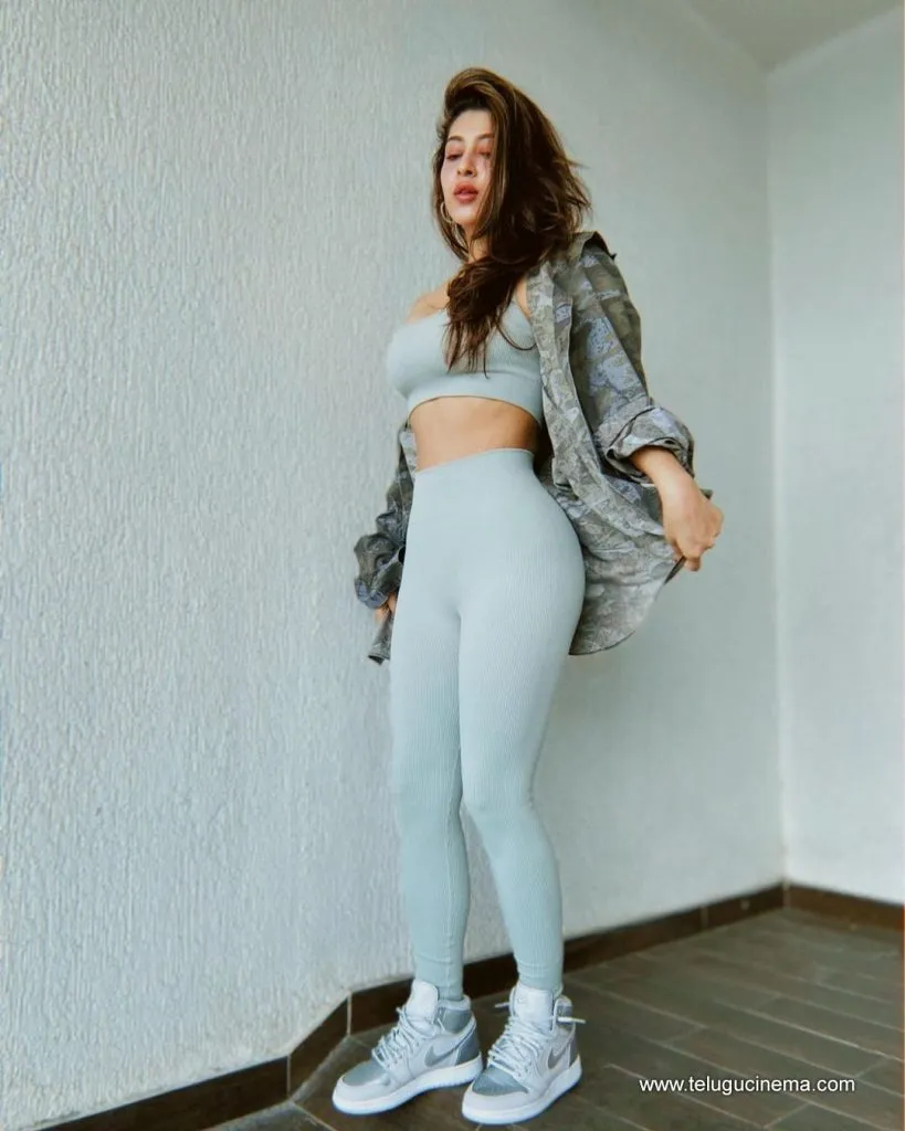 Sonarika Stilla 25092100002