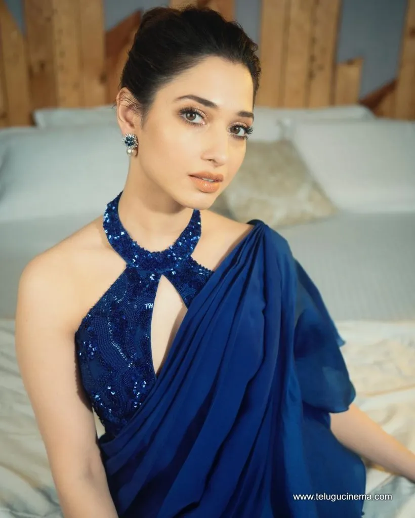 Tamannah Stilla 17092100005