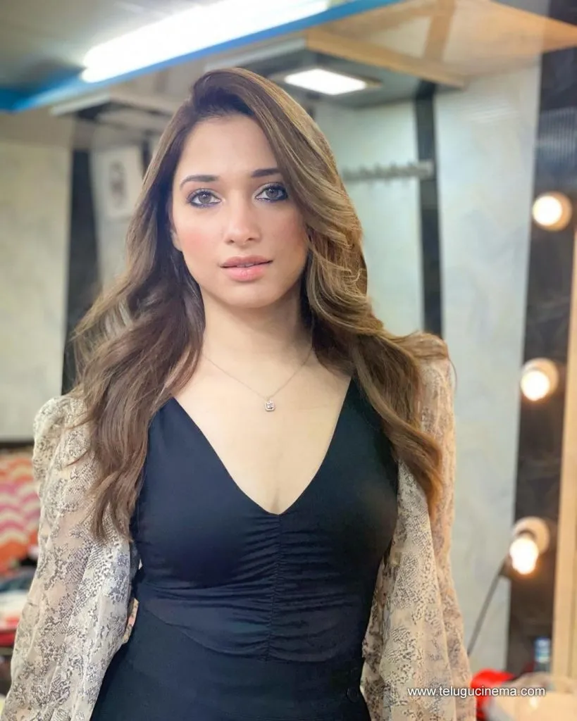 Tamannah Stilla 21092100002
