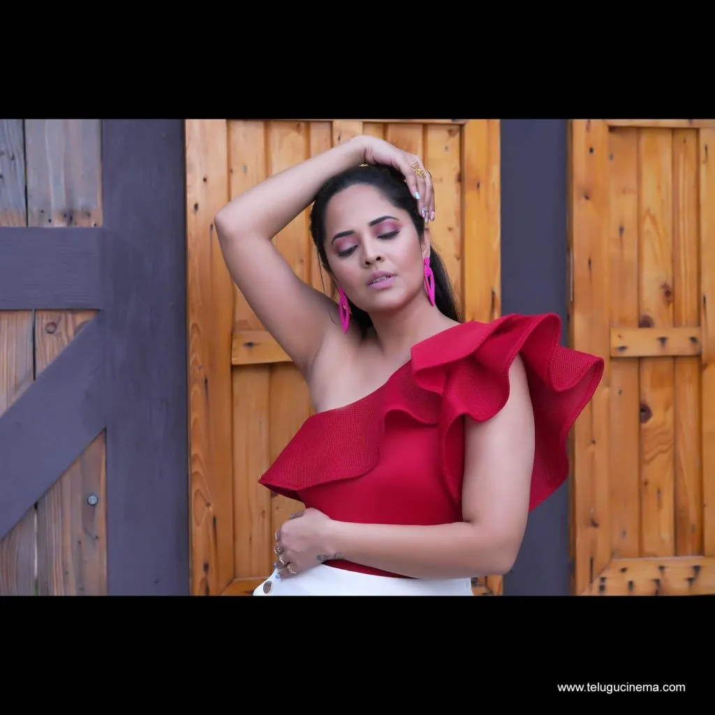 Anasuya Stills 29102100009